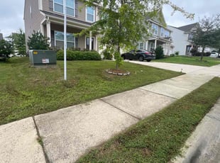 Ray H.'s Lawn Service service result