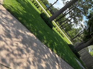 Maria C.'s Lawn Mowing Service service result