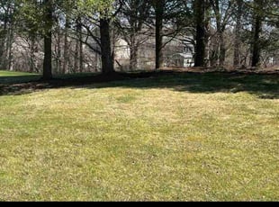 Cleanups by Josh Brockett for Carole O. in Syracuse, NY