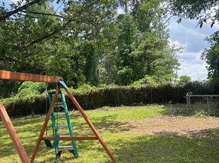 Cleanups by Benjamin Hammond for Canaan h. in Stockbridge, GA