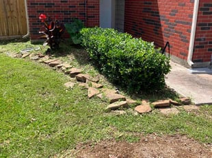 Bush Trimming by Phuong Tran for Kaitlin W. in Missouri City, TX