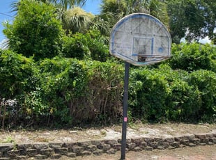 Bush Trimming by Jermaine Cooper for Norman T. in Maitland, FL