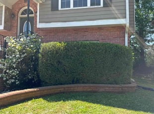 Bush Trimming by William Perry for Olivia B. in Powder Springs, GA