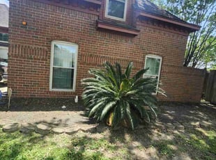 Weeding by Juan Bautista for Shelly H. in Pasadena, TX