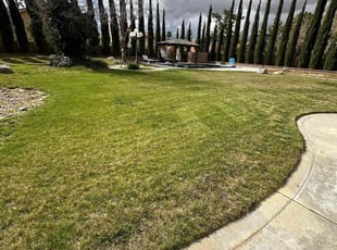 Steve K.'s Lawn Service service result