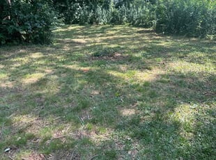Leaf Removal by Christopher Sherrin for Eliza W. in Charlotte, NC