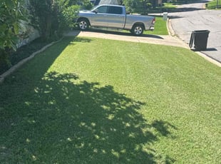 Janice S.'s Lawn Care service result
