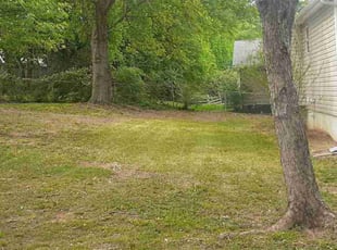 Leaf Removal by Jason Stalans for Linda H. in Knoxville, TN