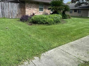 Bush Trimming by Terry Felo for Penny L. in New Orleans, LA