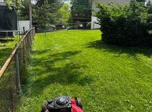 Sandy P.'s Lawn Mowing Service service result