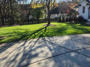 Tony M.'s Lawn Service service result