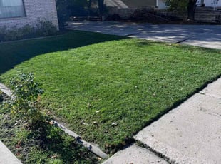 Linda R.'s Lawn Mowing Service service result