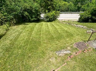 NIESHA B.'s Lawn Maintenance service result