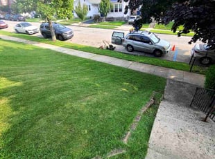 Kim A.'s Yard Cutting service result