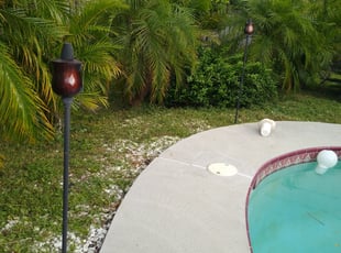 Weeding by Corey Johnson for Joey G. in Palm Bay, FL