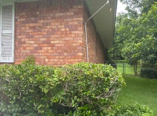 Bush Trimming by Rhett Lambas for Jason C. in DeSoto, TX