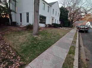 Leaf Removal by Amber Fuentes for Kimberly M. in Washington, DC