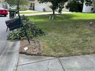 Cleanups by Marco Antenor for John R. in Charlotte, NC
