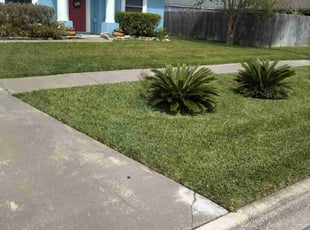 Kayla K.'s Lawn Service service result