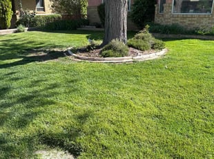 Ray B.'s Lawn Service service result