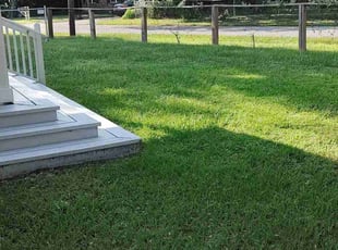 Hayley A.'s Lawn Mowing Service service result