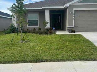 Thomas R.'s Lawn Mowing service result