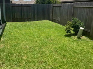 Erica N.'s Lawn Mowing Service service result