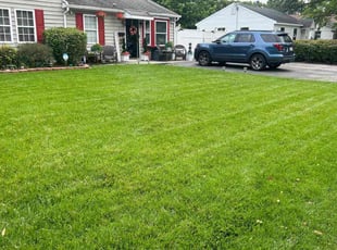 Roy S.'s Yard Cutting service result