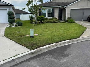 Mike S.'s Lawn Mowing service result