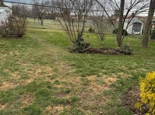 Cleanups by Japheus Sanders for Samantha P. in Sterling Heights, MI