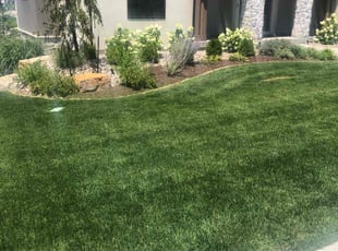 Anca L.'s Lawn Mowing Service service result