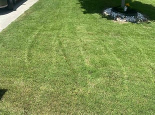 Benjamin M.'s Lawn Mowing Service service result