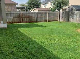 Adriana R.'s Lawn Care service result