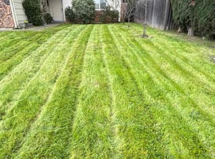 Cleanups by Gabriel Aldrete for Cedric F. in Sacramento, CA