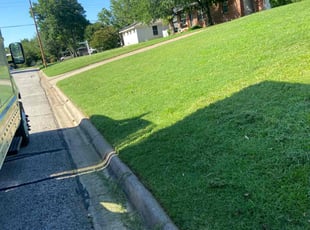 Walter S.'s Lawn Care service result