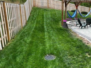Caenina M.'s Lawn Service service result