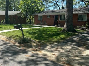 Allegra F.'s Lawn Mowing Service service result