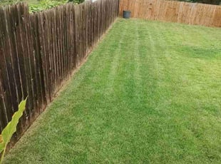 Christopher T.'s Lawn Mowing service result