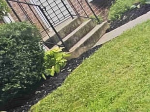 Weeding by Yobani Benitez for Stacey C. in Bowie, MD