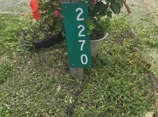 Weeding by Douglas McClelland for Timothy Z. in Birmingham, AL