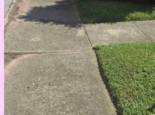 Austin N.'s Lawn Care service result