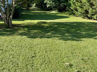 Christopher H.'s Yard Cutting service result