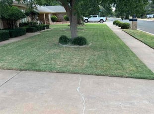 Craig S.'s Yard Cutting service result