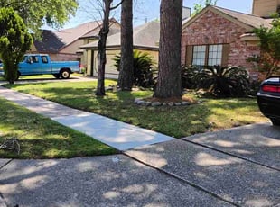 Louise E.'s Lawn Care service result