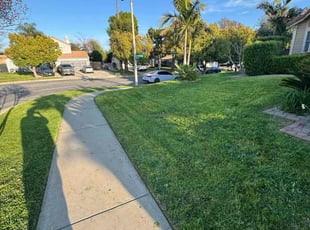 Curtis L.'s Lawn Service service result