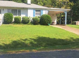 Jeannette L.'s Yard Cutting service result
