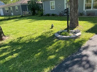 Laveta J.'s Lawn Maintenance service result