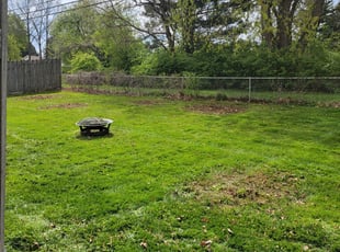 Leaf Removal by Aaron Spradlin for Matt S. in Fairborn, OH