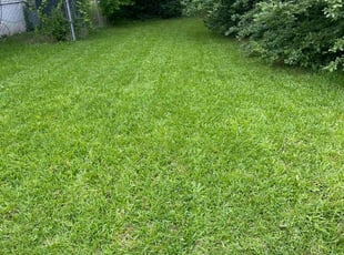 Cynthia K.'s Grass Cutting service result