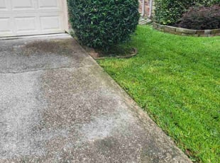 Bush Trimming by Pamela Gomez for Mark Q. in Houston, TX